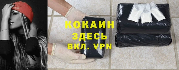 ешки Мегион